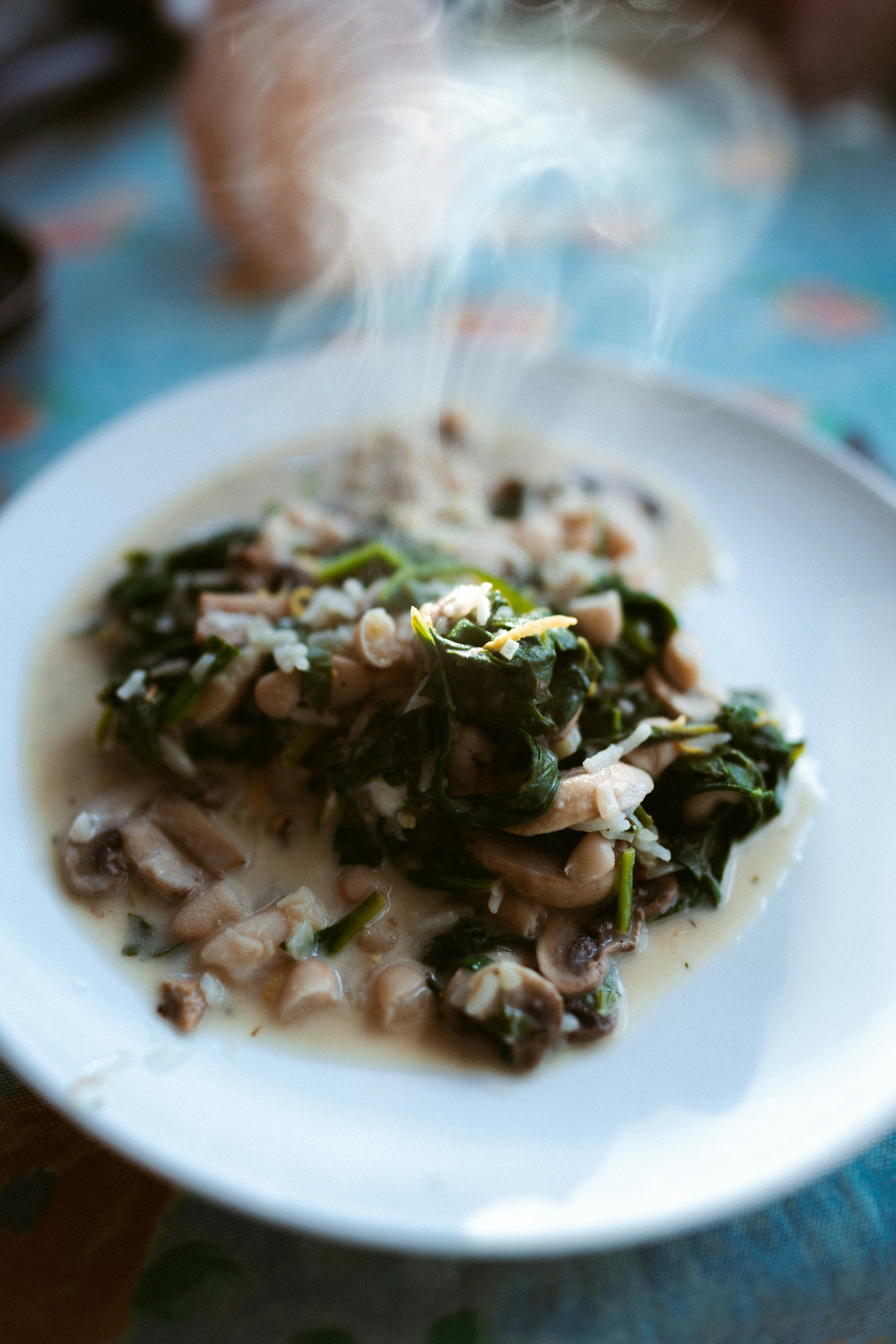 Italian Mushroom White Bean Spinach Stew